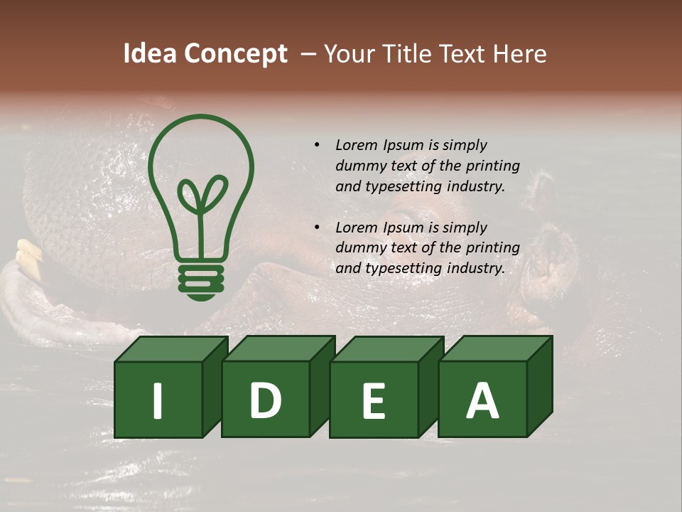 A Hippopotamus In A Body Of Water With Its Mouth Open PowerPoint Template