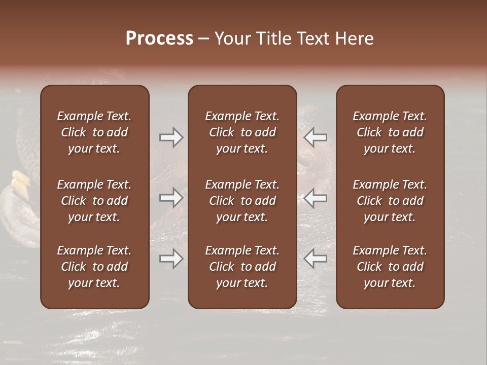 A Hippopotamus In A Body Of Water With Its Mouth Open PowerPoint Template