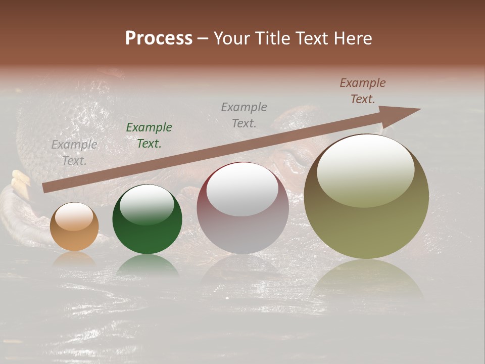 A Hippopotamus In A Body Of Water With Its Mouth Open PowerPoint Template