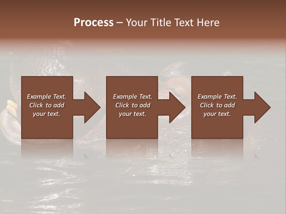 A Hippopotamus In A Body Of Water With Its Mouth Open PowerPoint Template