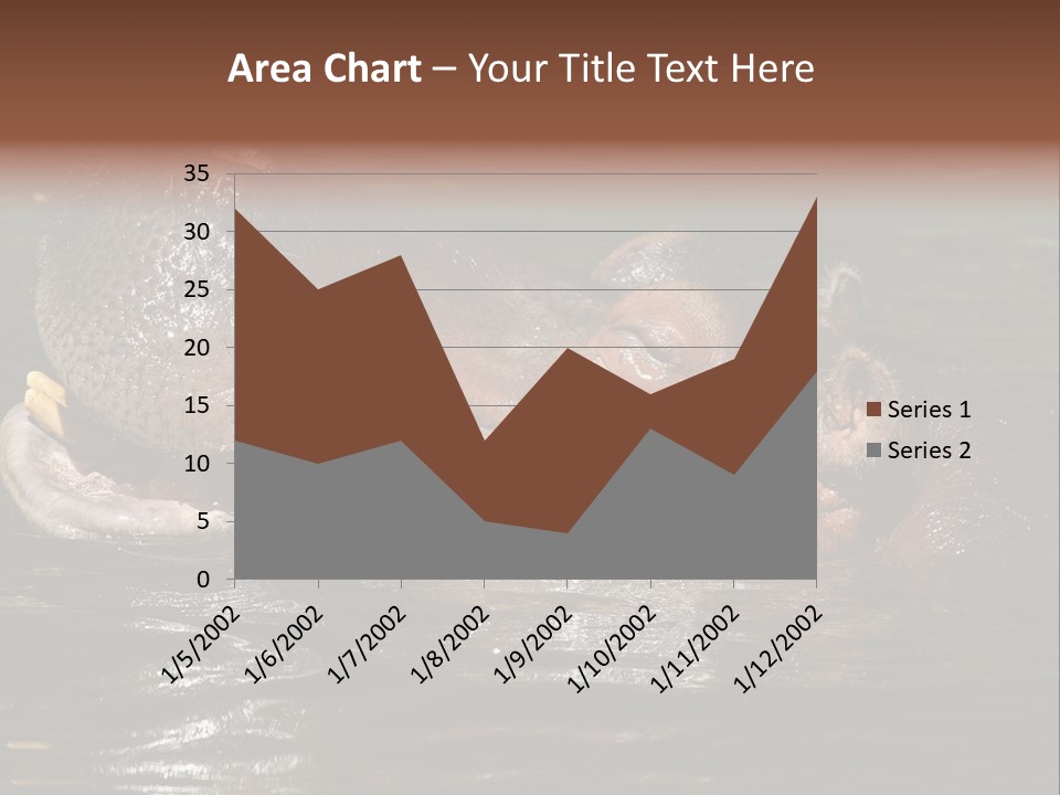 A Hippopotamus In A Body Of Water With Its Mouth Open PowerPoint Template