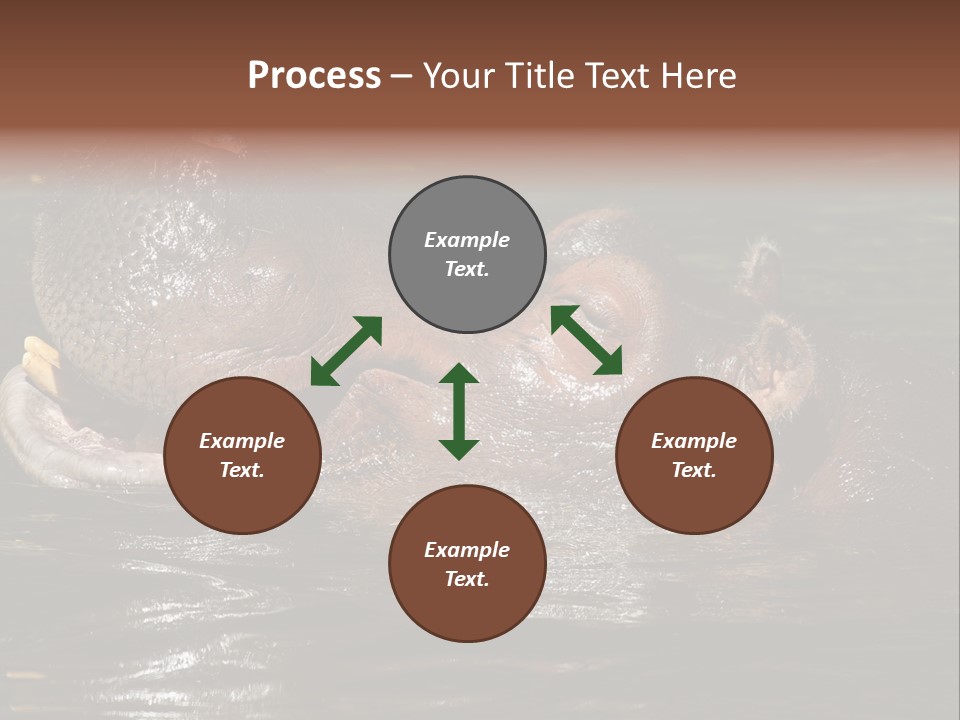 A Hippopotamus In A Body Of Water With Its Mouth Open PowerPoint Template