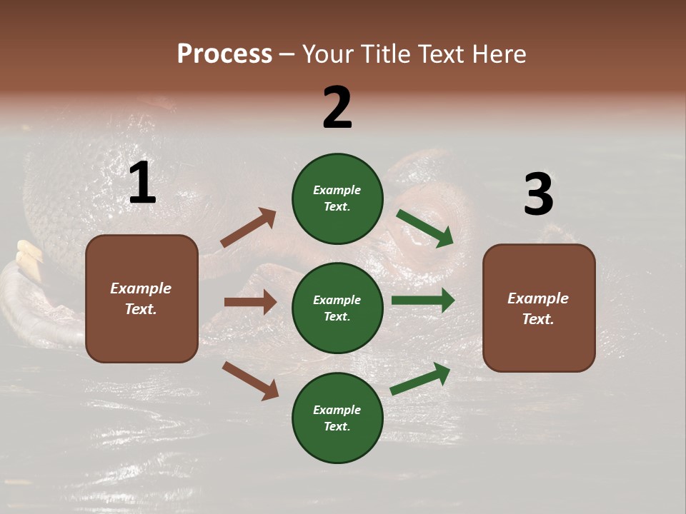 A Hippopotamus In A Body Of Water With Its Mouth Open PowerPoint Template