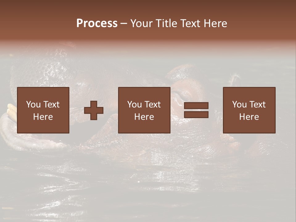 A Hippopotamus In A Body Of Water With Its Mouth Open PowerPoint Template