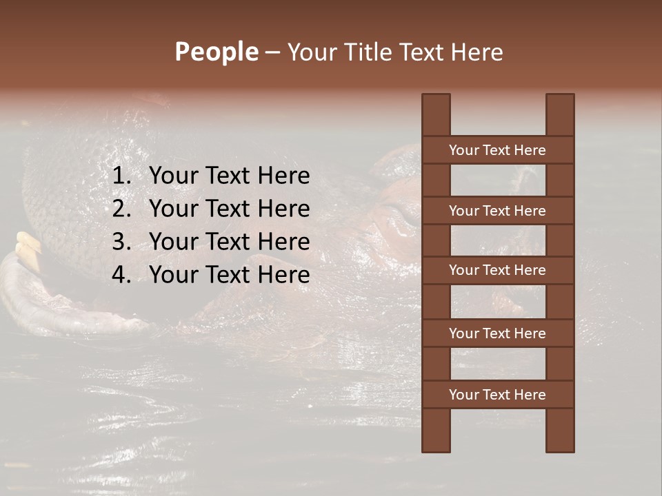 A Hippopotamus In A Body Of Water With Its Mouth Open PowerPoint Template