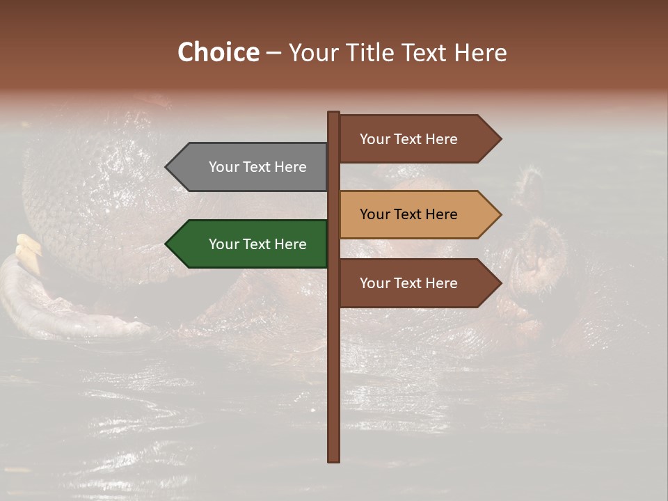 A Hippopotamus In A Body Of Water With Its Mouth Open PowerPoint Template