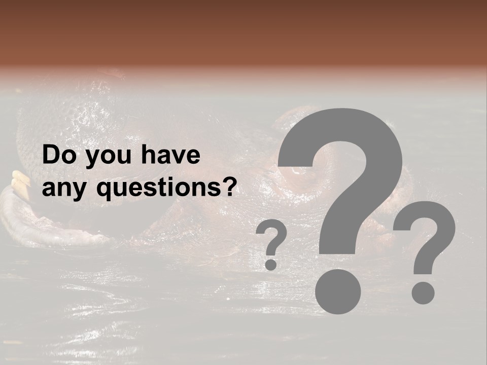 A Hippopotamus In A Body Of Water With Its Mouth Open PowerPoint Template