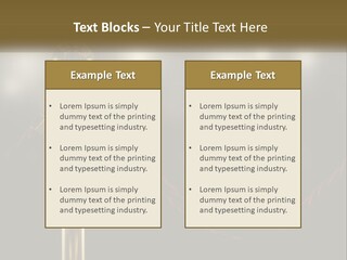 A Golden Trophy On A Red Rope With Spotlights In The Background PowerPoint Template