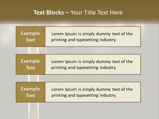 A Golden Trophy On A Red Rope With Spotlights In The Background PowerPoint Template