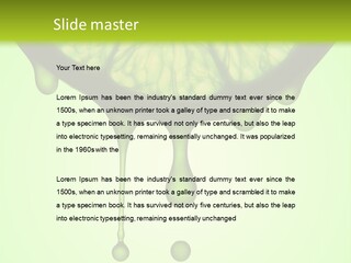 A Slice Of Lime With Drops Of Water On It PowerPoint Template