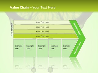 A Slice Of Lime With Drops Of Water On It PowerPoint Template