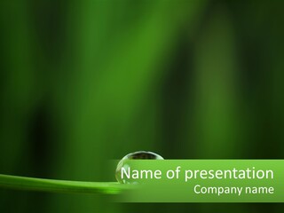 A Drop Of Water Sitting On Top Of A Green Leaf PowerPoint Template