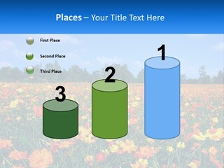 A Field Full Of Yellow And Orange Flowers PowerPoint Template