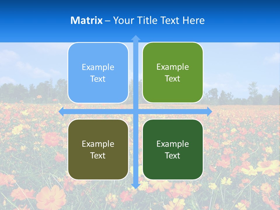 A Field Full Of Yellow And Orange Flowers PowerPoint Template