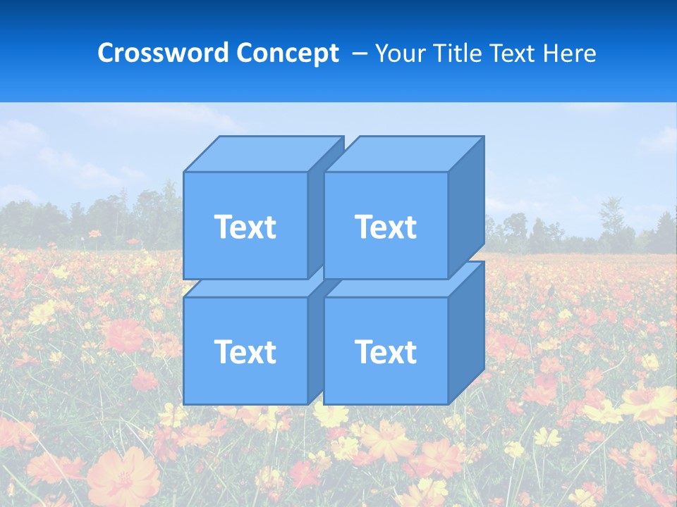 A Field Full Of Yellow And Orange Flowers PowerPoint Template