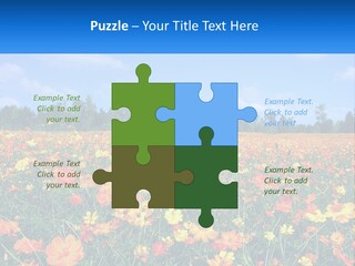 A Field Full Of Yellow And Orange Flowers PowerPoint Template