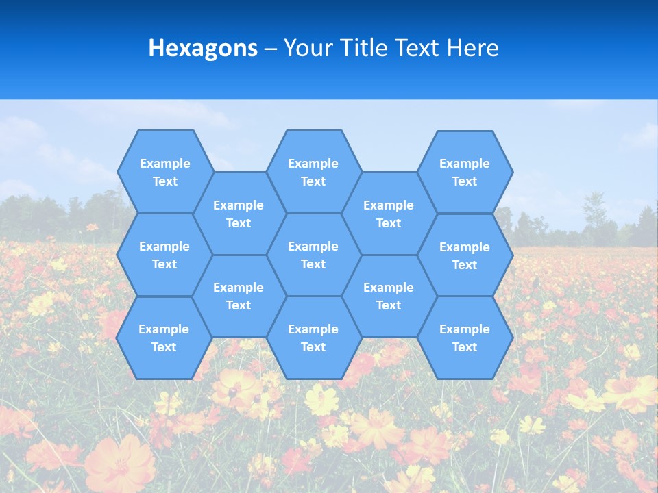 A Field Full Of Yellow And Orange Flowers PowerPoint Template