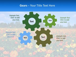 A Field Full Of Yellow And Orange Flowers PowerPoint Template