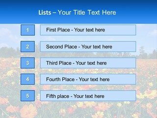 A Field Full Of Yellow And Orange Flowers PowerPoint Template