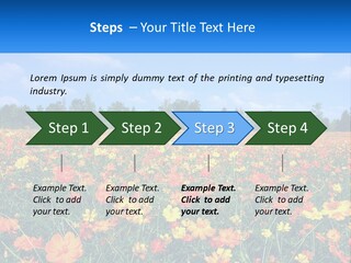 A Field Full Of Yellow And Orange Flowers PowerPoint Template