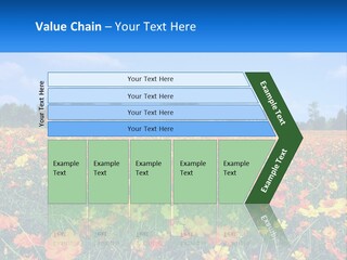 A Field Full Of Yellow And Orange Flowers PowerPoint Template