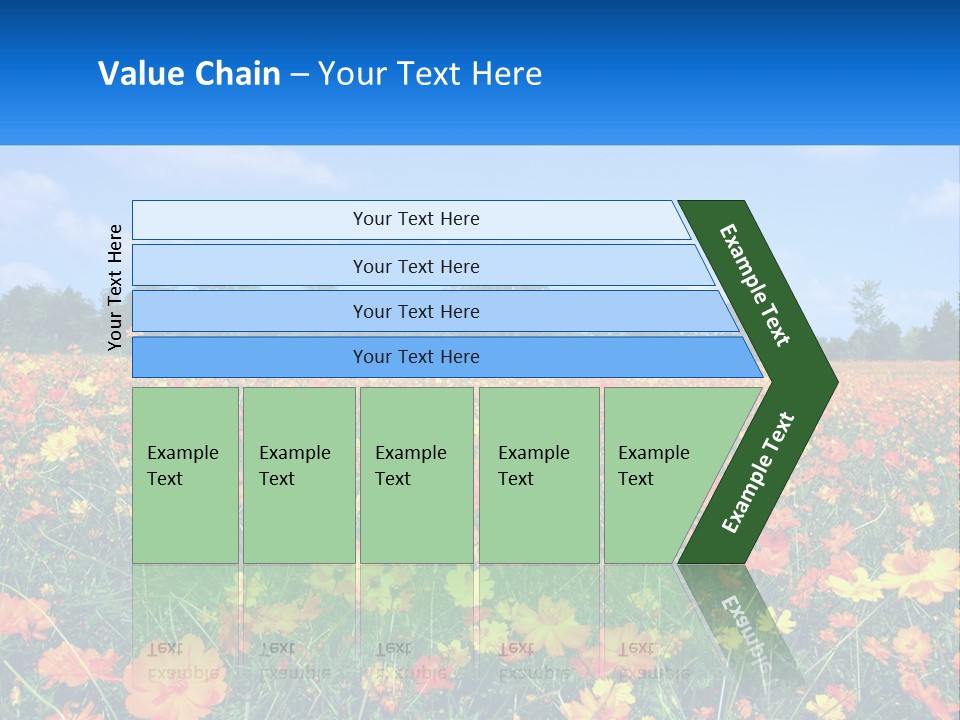 A Field Full Of Yellow And Orange Flowers PowerPoint Template