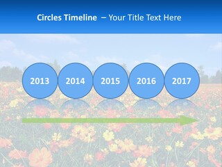 A Field Full Of Yellow And Orange Flowers PowerPoint Template