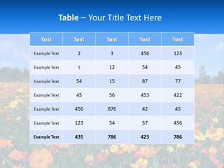 A Field Full Of Yellow And Orange Flowers PowerPoint Template