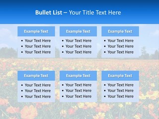A Field Full Of Yellow And Orange Flowers PowerPoint Template