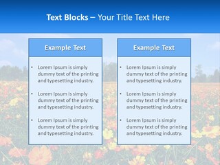 A Field Full Of Yellow And Orange Flowers PowerPoint Template