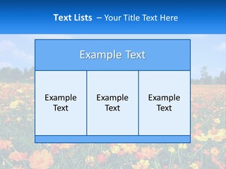 A Field Full Of Yellow And Orange Flowers PowerPoint Template