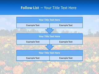 A Field Full Of Yellow And Orange Flowers PowerPoint Template