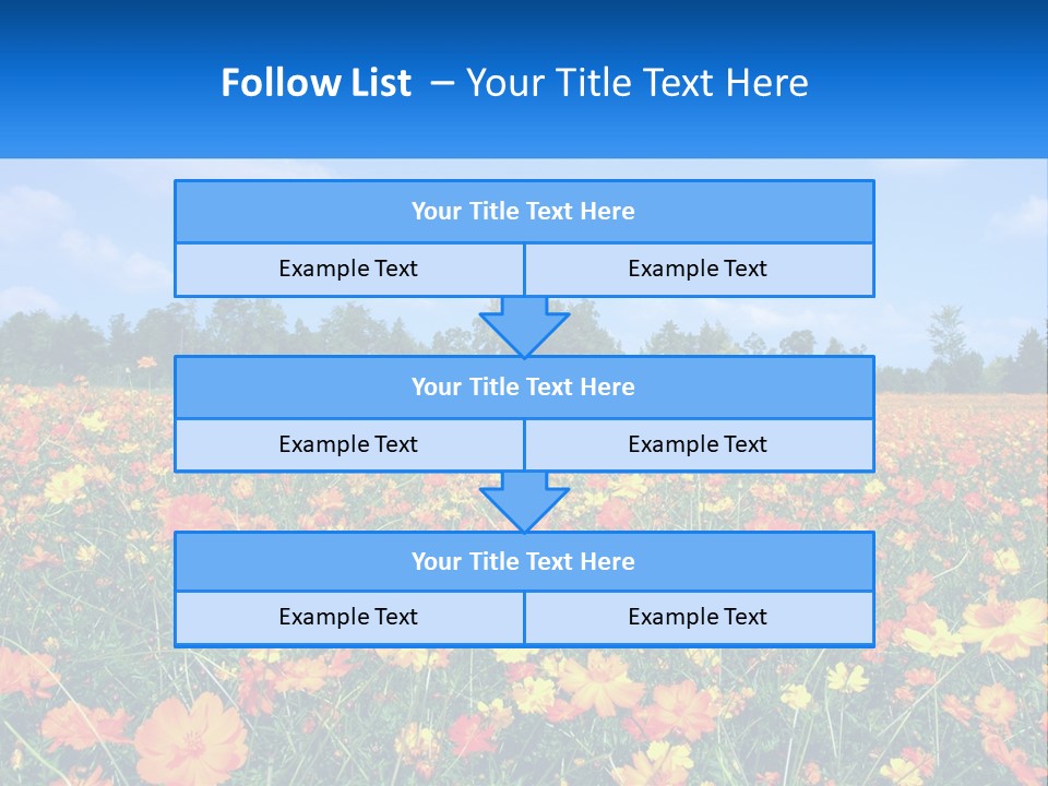 A Field Full Of Yellow And Orange Flowers PowerPoint Template