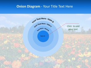 A Field Full Of Yellow And Orange Flowers PowerPoint Template
