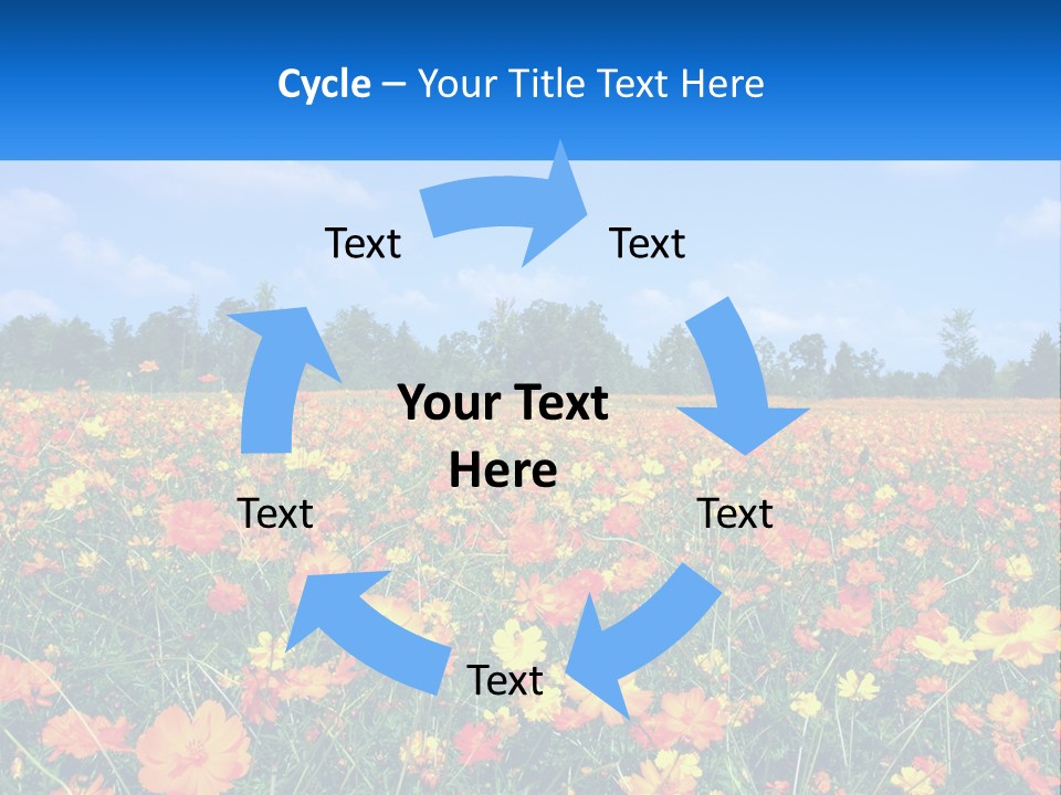 A Field Full Of Yellow And Orange Flowers PowerPoint Template