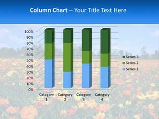 A Field Full Of Yellow And Orange Flowers PowerPoint Template