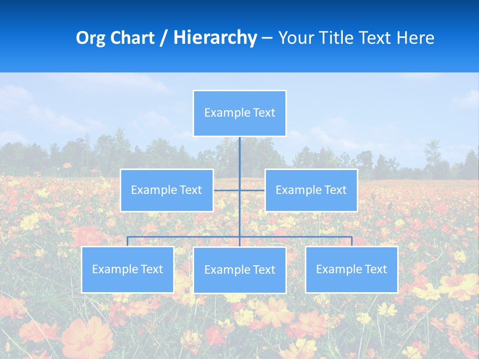 A Field Full Of Yellow And Orange Flowers PowerPoint Template