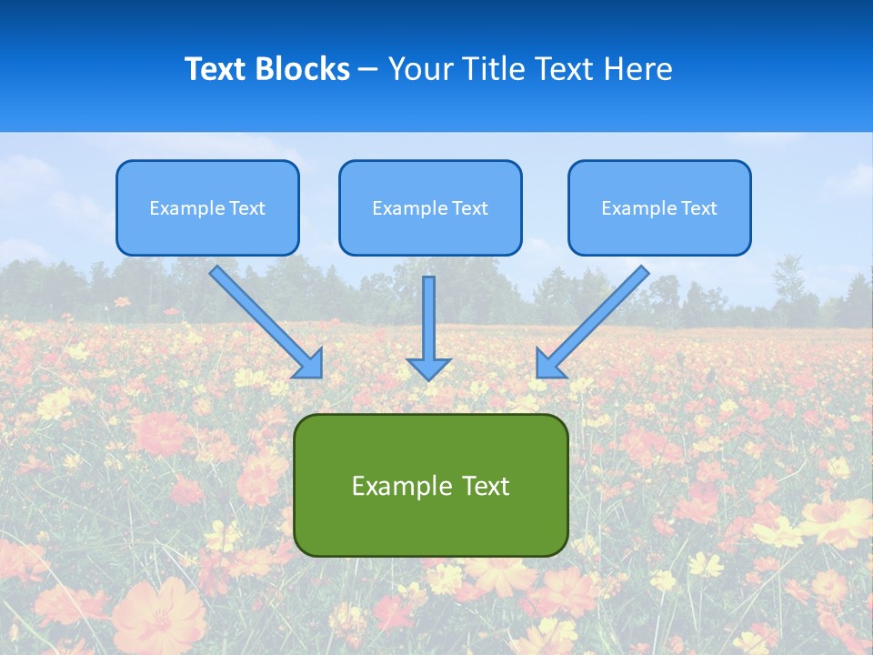 A Field Full Of Yellow And Orange Flowers PowerPoint Template