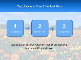 A Field Full Of Yellow And Orange Flowers PowerPoint Template