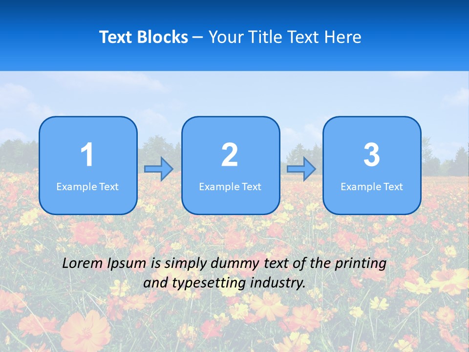A Field Full Of Yellow And Orange Flowers PowerPoint Template