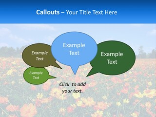 A Field Full Of Yellow And Orange Flowers PowerPoint Template