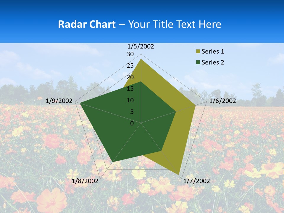 A Field Full Of Yellow And Orange Flowers PowerPoint Template