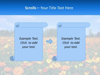 A Field Full Of Yellow And Orange Flowers PowerPoint Template