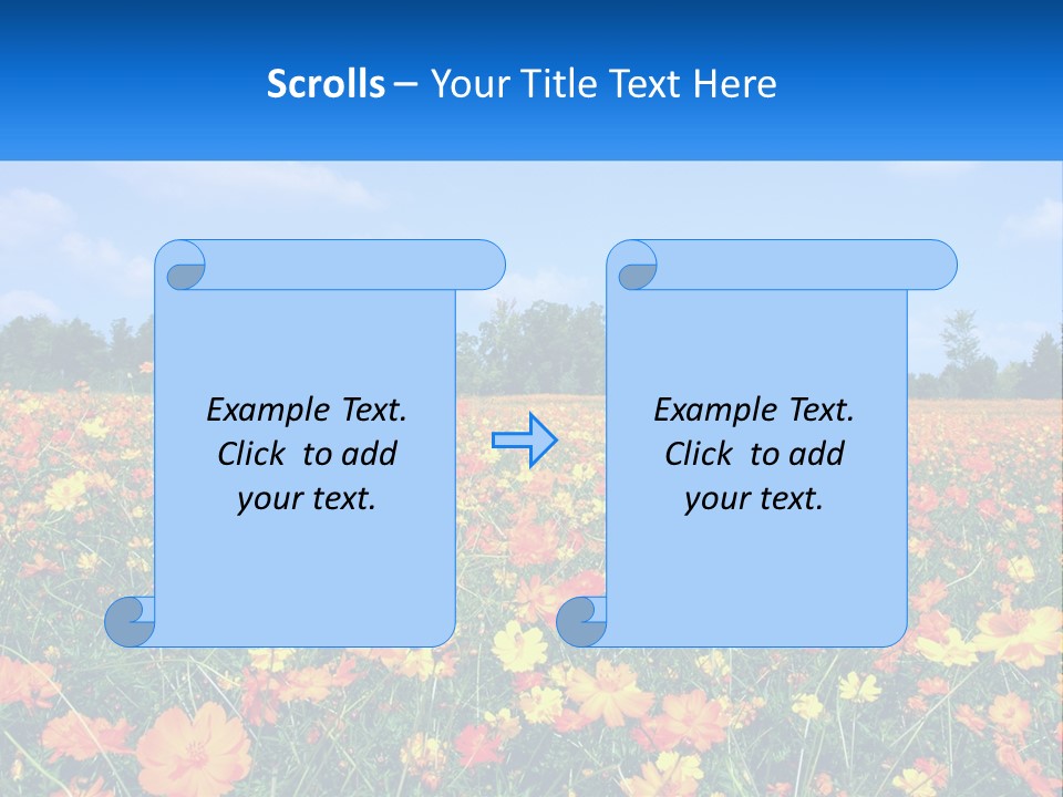 A Field Full Of Yellow And Orange Flowers PowerPoint Template