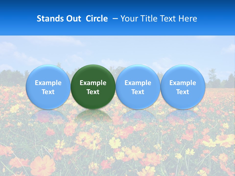 A Field Full Of Yellow And Orange Flowers PowerPoint Template