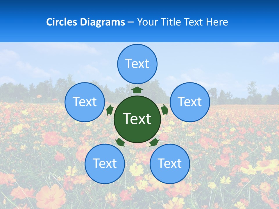 A Field Full Of Yellow And Orange Flowers PowerPoint Template