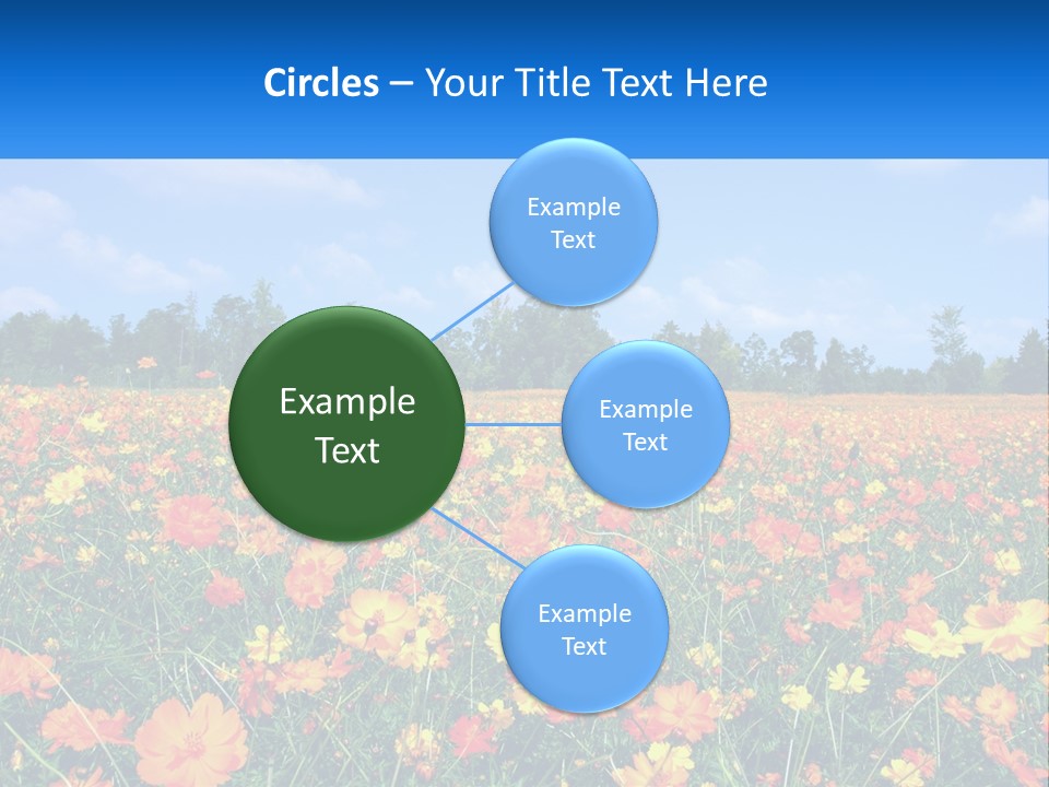 A Field Full Of Yellow And Orange Flowers PowerPoint Template