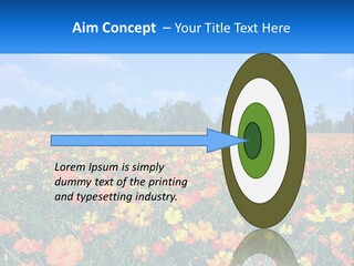 A Field Full Of Yellow And Orange Flowers PowerPoint Template