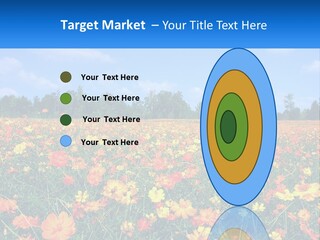 A Field Full Of Yellow And Orange Flowers PowerPoint Template