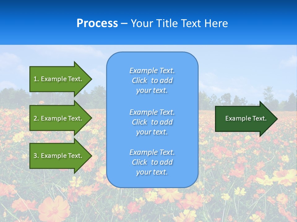 A Field Full Of Yellow And Orange Flowers PowerPoint Template